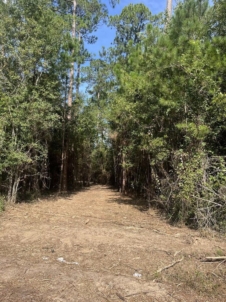Property Photo:  00 U.s. Highway 319 North (7.8 Acres)  GA 31757 