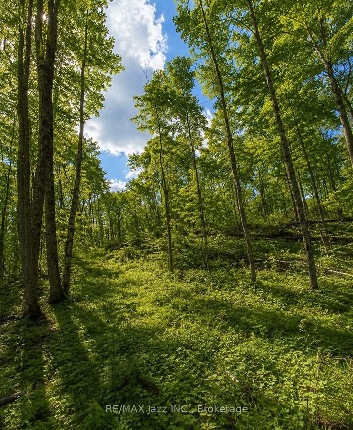 Property Photo:  1091A Crystal Lake Road  ON K0M 3A0 