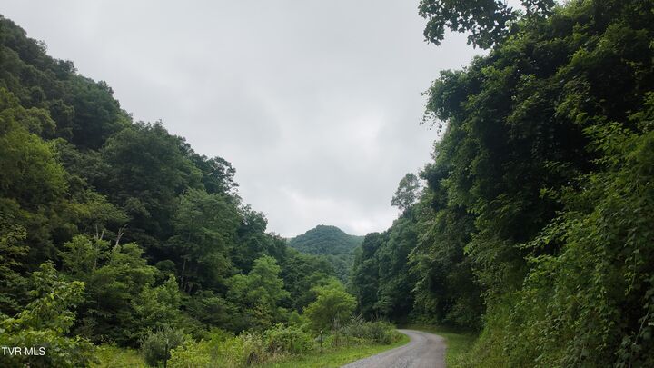 Property Photo: 0 Ford Branch Road VA 24244
