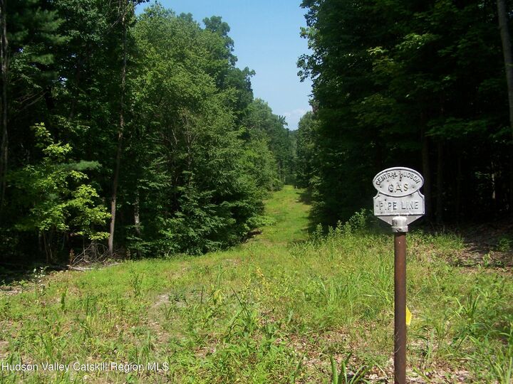 Property Photo: Tbd Bellevue NY 12528
