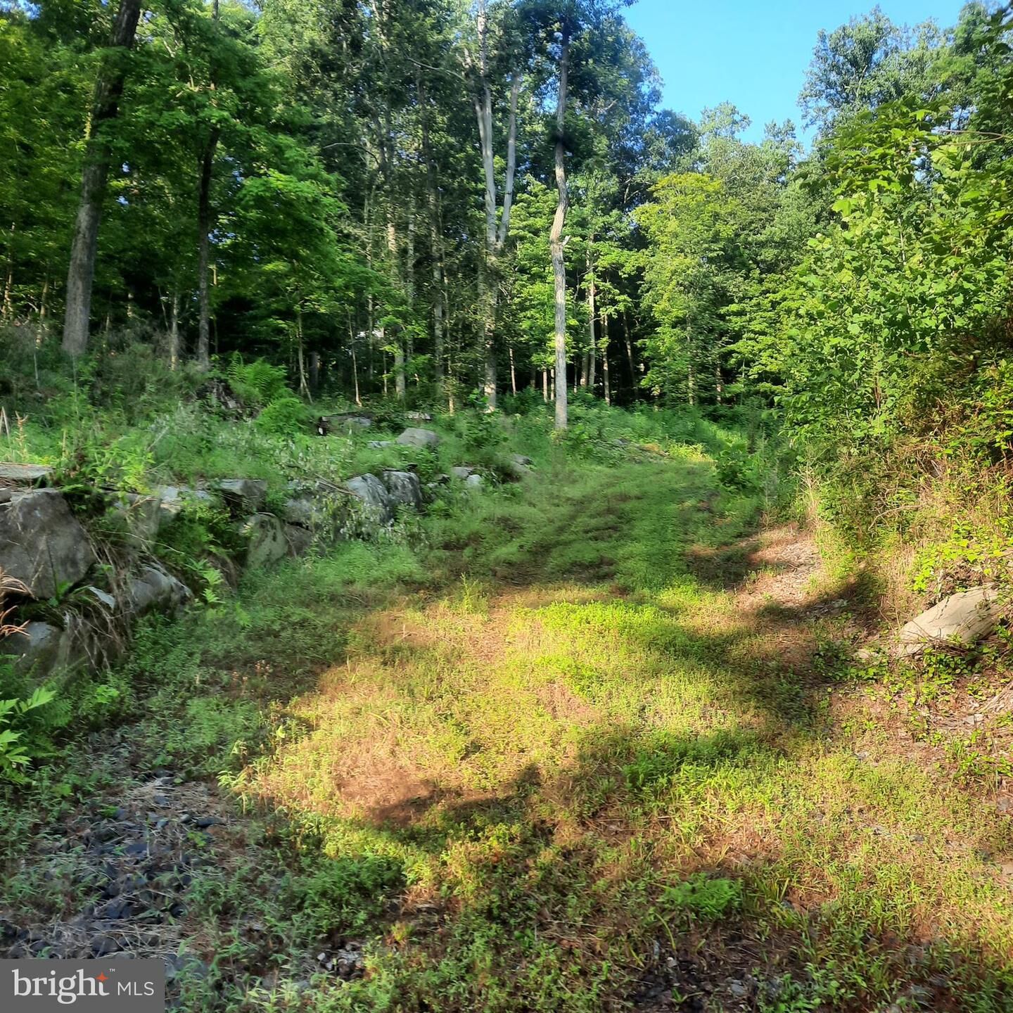 Property Photo: 5968 State Park Road PA 18947
