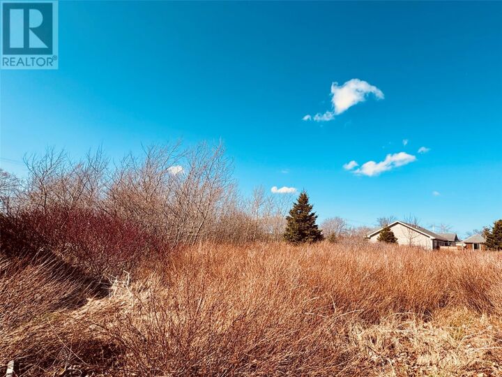 Property Photo:  51A Whites Road  NL A0A 0H2 