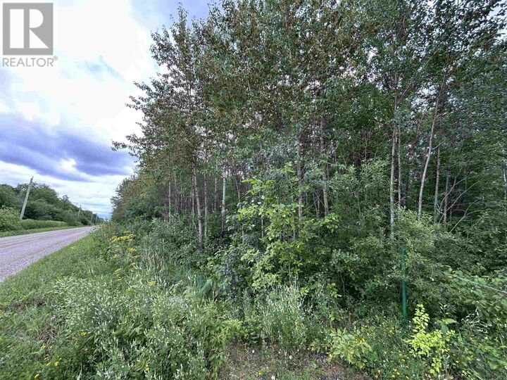 Property Photo: 905 Frog Creek Rd ON P9A 3M2