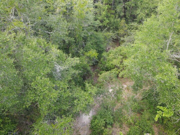 Property Photo:  4.41 Ac Summertime Drive  FL 32564 