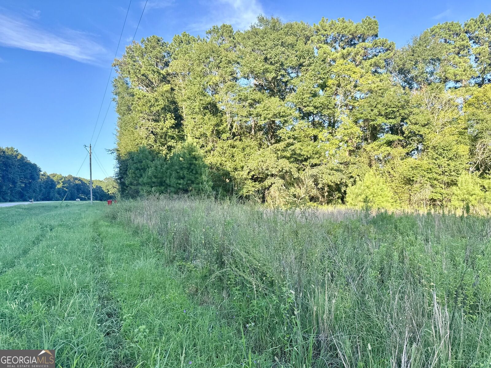 Property Photo:  0 Hwy 62  GA 39823 