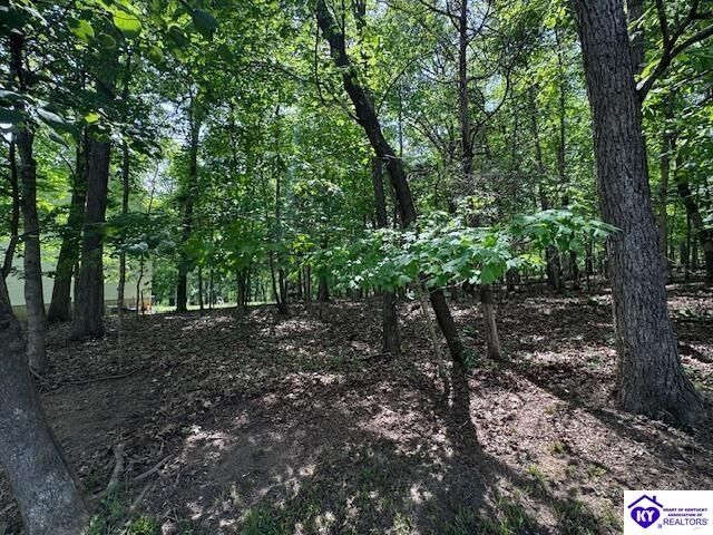 Property Photo:  Lot 49 Bluebird Road  KY 40108 