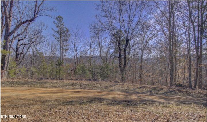 Property Photo:  4585 Crooked Creek Way  TN 37803 