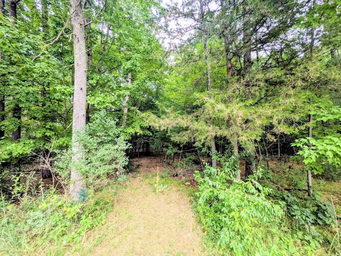 Property Photo: 0 County Road C WI 54613