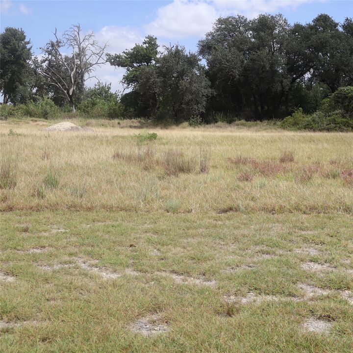 Property Photo: 701 Rawhide Lane TX 76527