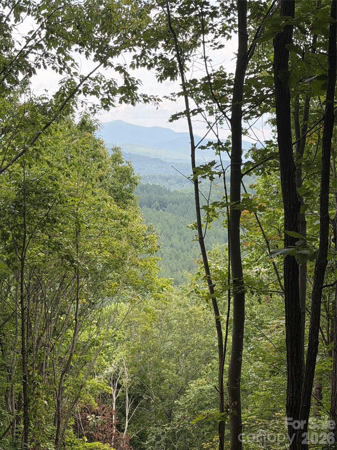 Property Photo:  69 Idlewild Drive  NC 28018 