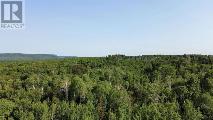 Property Photo:  263 Cloud River Rd E  ON P7L 0A9 