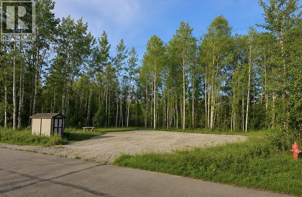 Property Photo:  9908 Adams Street  BC V0C 1V0 
