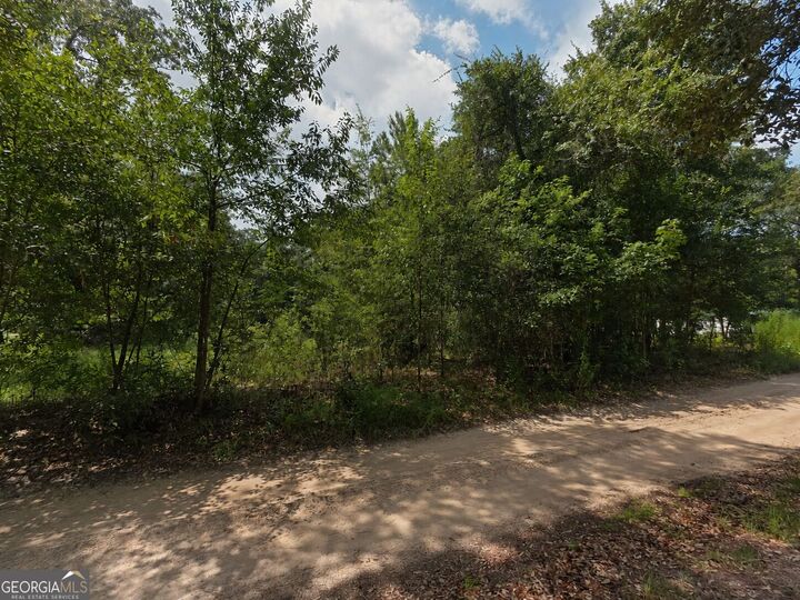 Property Photo:  0 Second Avenue  GA 31566 