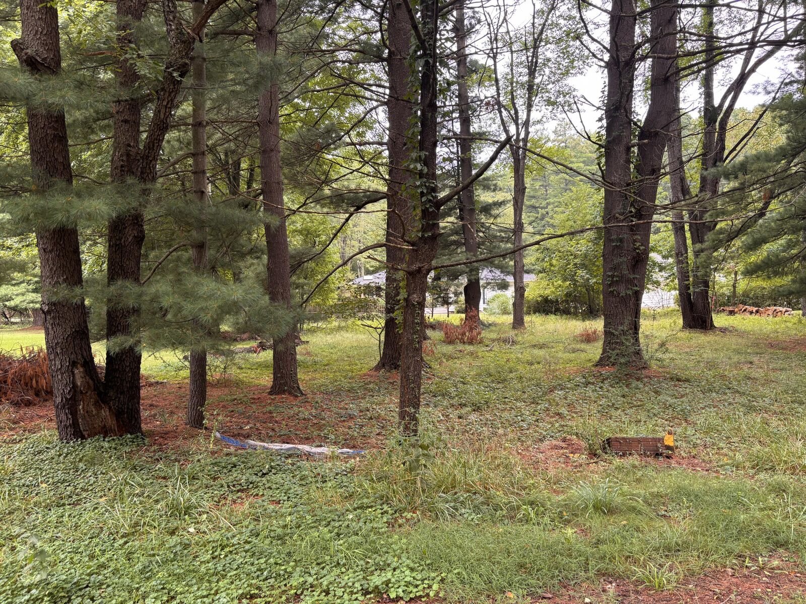 Property Photo: V/L Spruce Street MI 49125