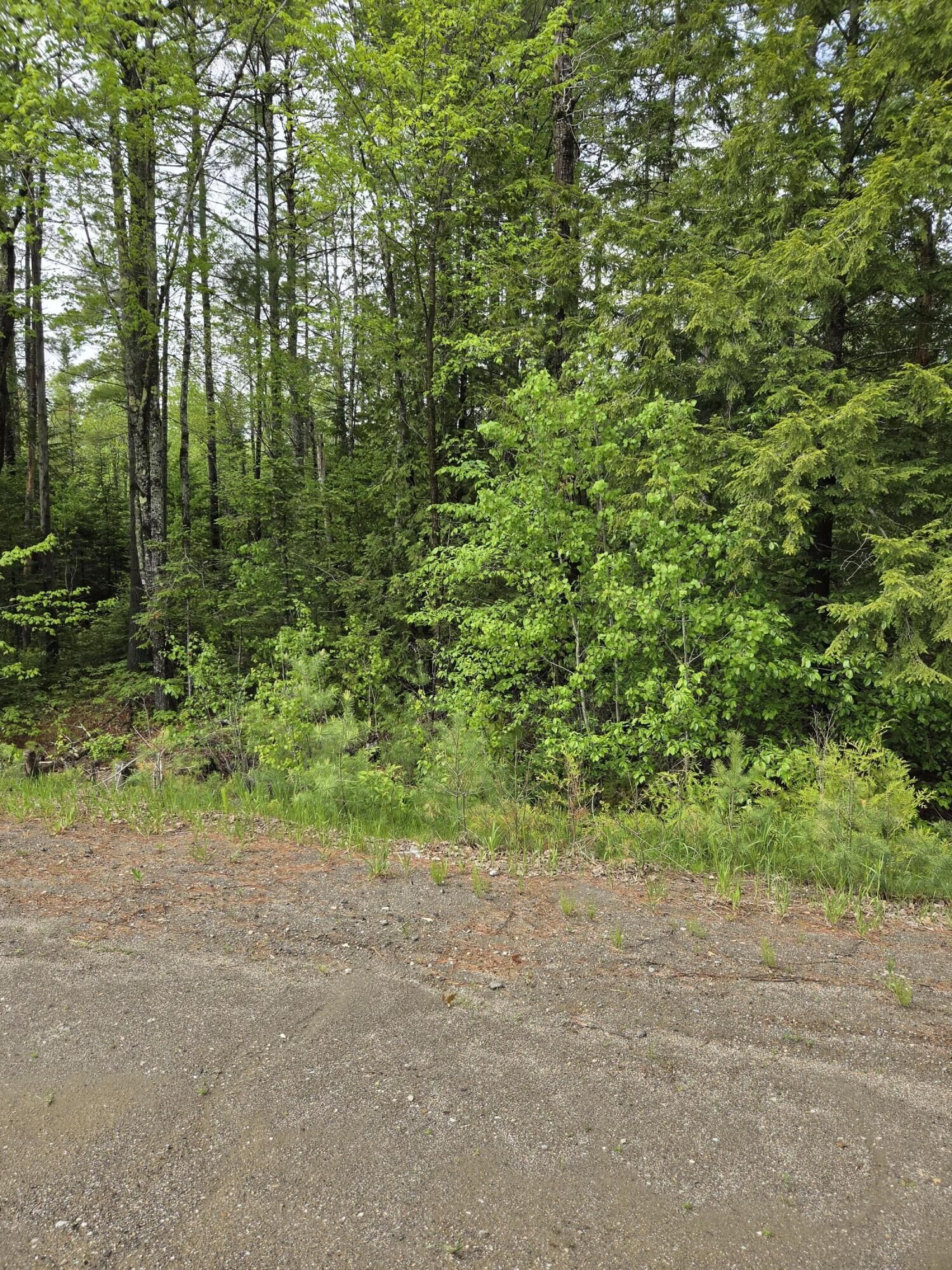 Property Photo: Lot 81-1 Lower Detroit Road ME 04969