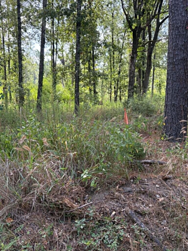 Property Photo:  R(2)155685 Miles Road  TX 75901 