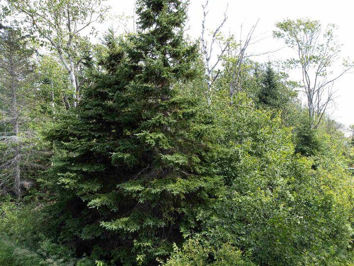 Property Photo:  Lot 20 Blue Jay Drive  PE C0B 2E0 