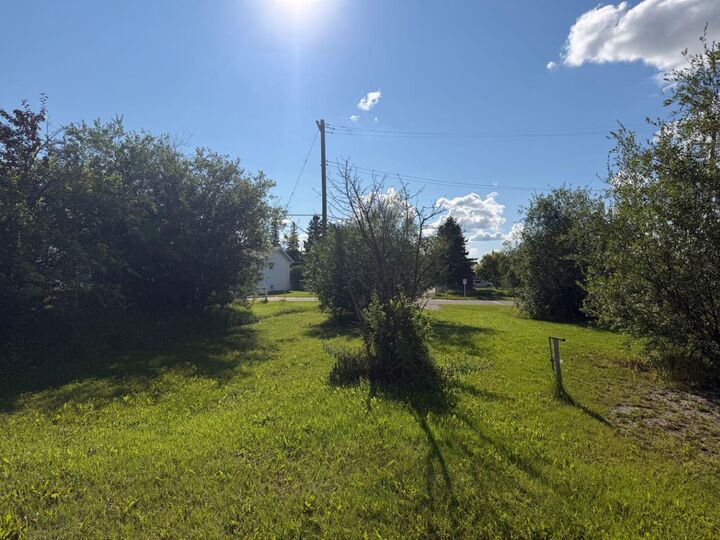 Property Photo:  9931 101 Street  AB T0H 3S0 