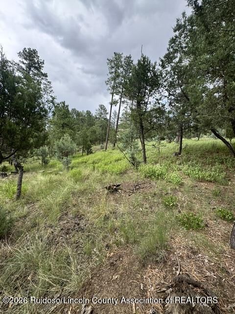 Property Photo: Lot 4 Alto Drive NM 88312