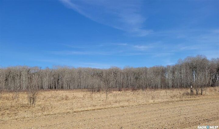Property Photo:  8 Lakeshore Drive  SK S0A 0B2 