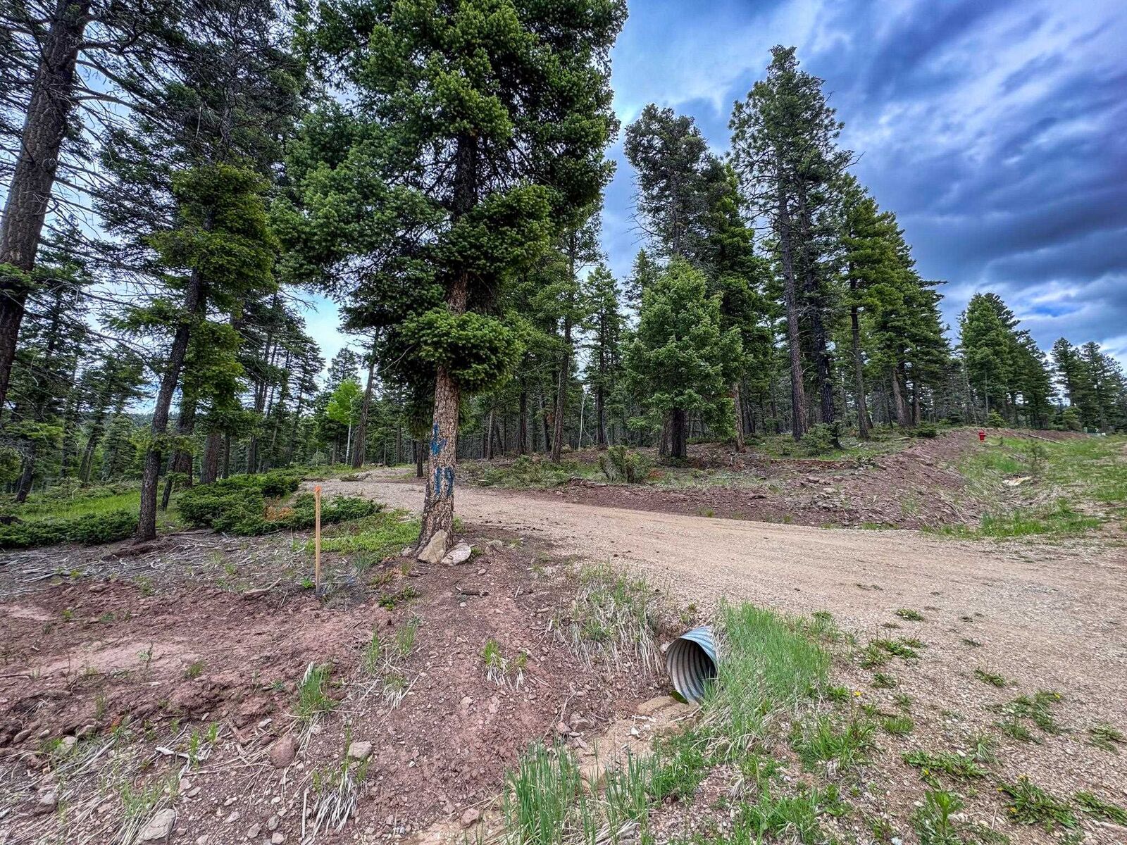 Property Photo: Lot 233 Summit Place NM 87710
