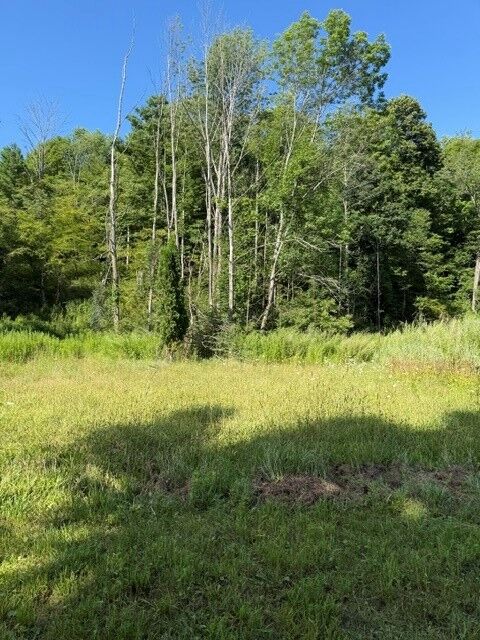 Property Photo: 304 Hulbert Hollow Road NY 14883
