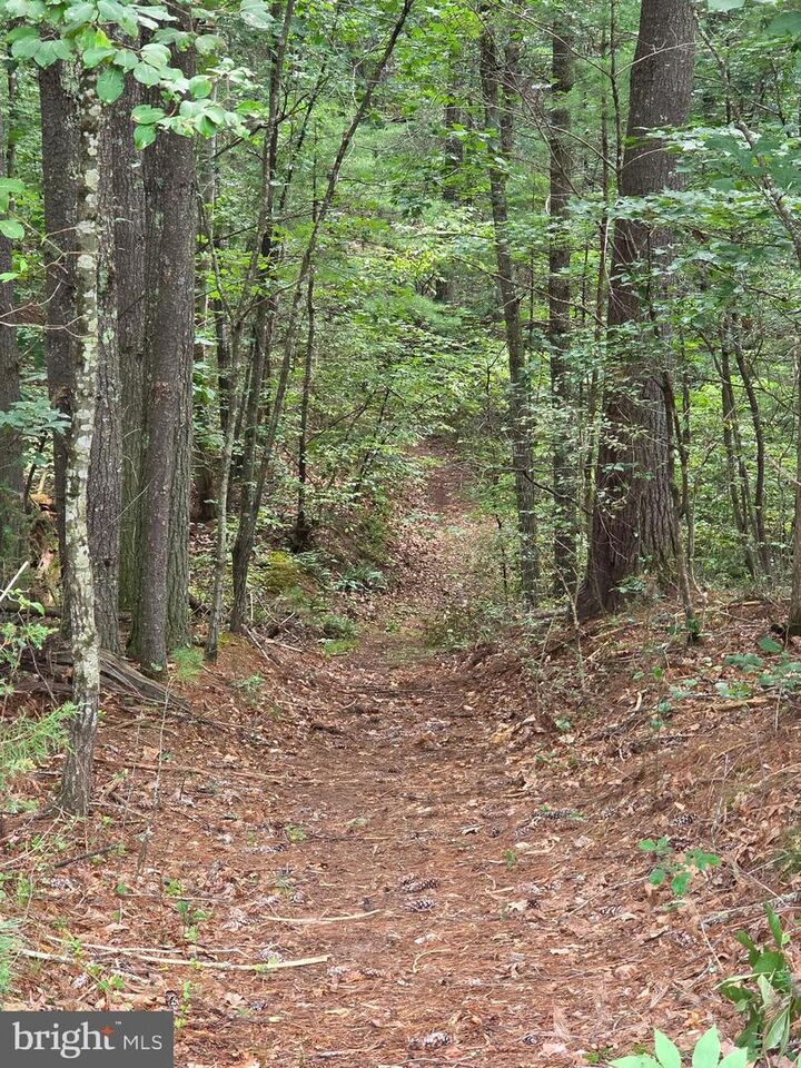 Property Photo:  574 Mountain Slope Ln.  VA 22652 