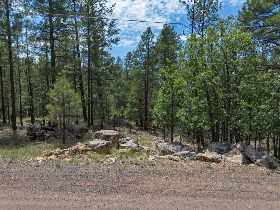 Property Photo:  642 Jacks Canyon Drive  AZ 86024 