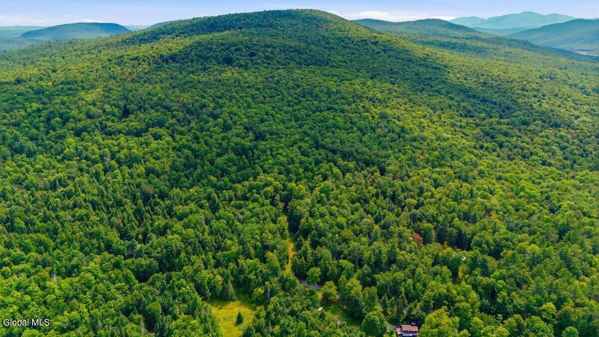 Property Photo: L59 Horseshoe Pond Road NY 12870