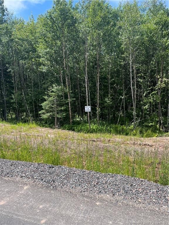 Lot Cedarwood Drive — photo 1