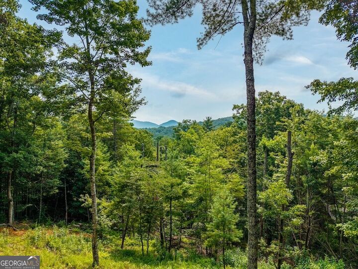 Property Photo: 120 Bell Camp Ridge Road GA 30513