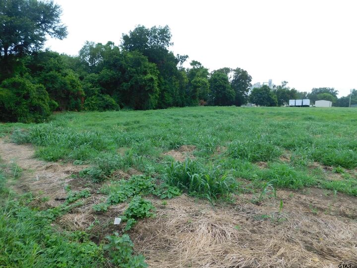 Property Photo:  Tbd Fulton  TX 75686 