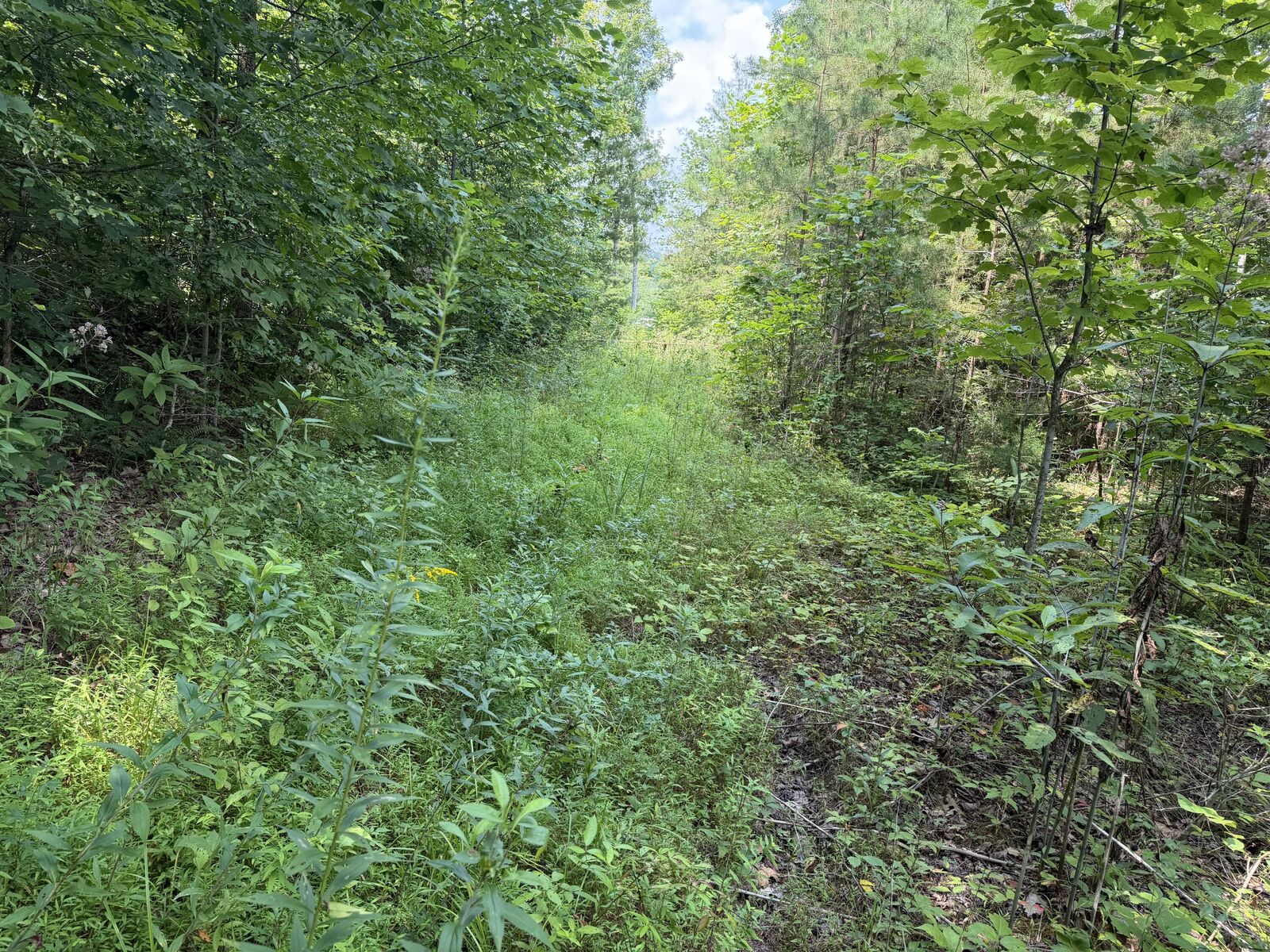 Property Photo: 9 Tucker Hollow Road KY 42633