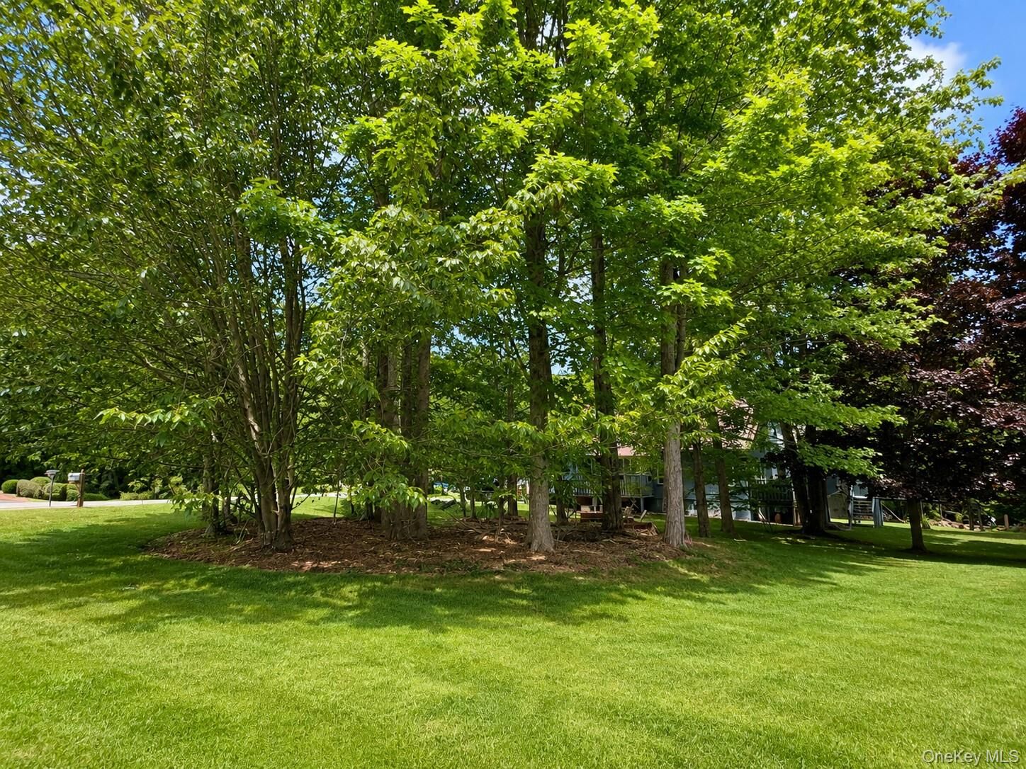 Property Photo:  0 Timber Hill Lane  NY 12779 