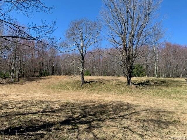 Property Photo: 255 Wild Turnpike NY 12775