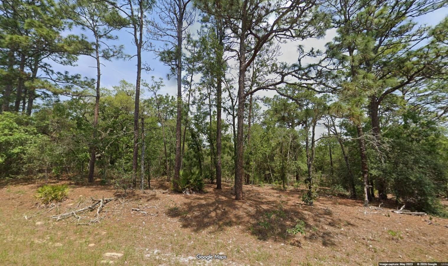 Property Photo: 11351 N Kenney Loop FL 34433