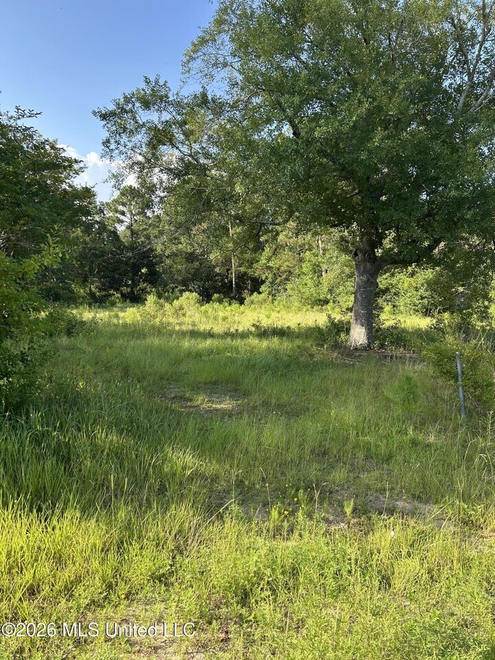 Property Photo: Woolmarket Road MS 39532
