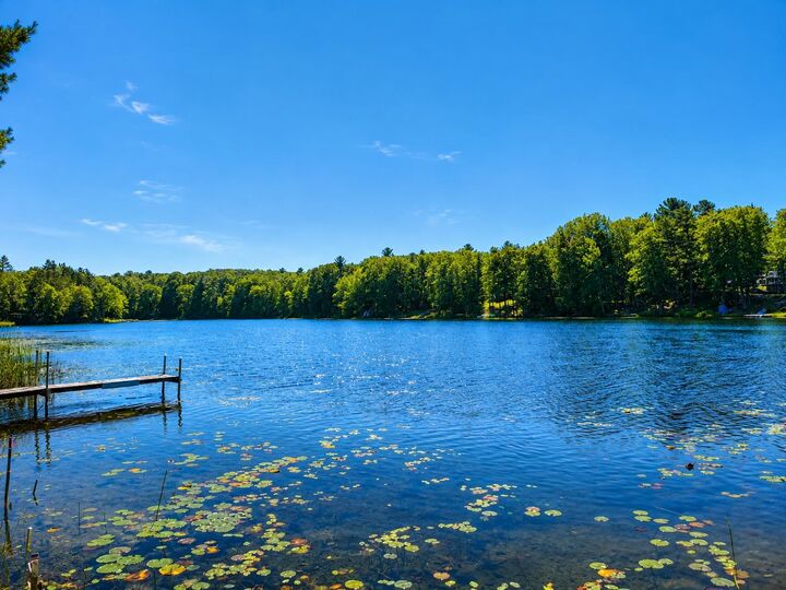 Property Photo: 3340 Tibbets Drive MI 49696