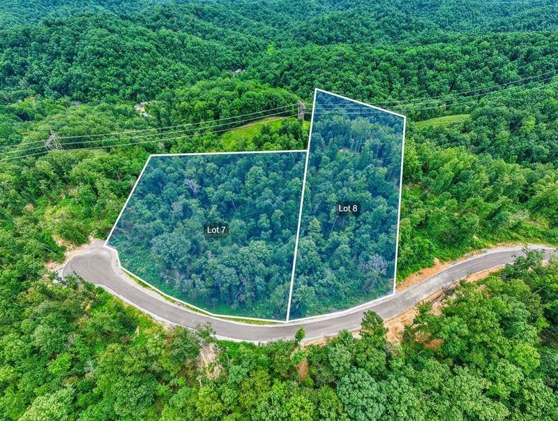 Property Photo:  0 Falling Timber Drive  TN 37143 