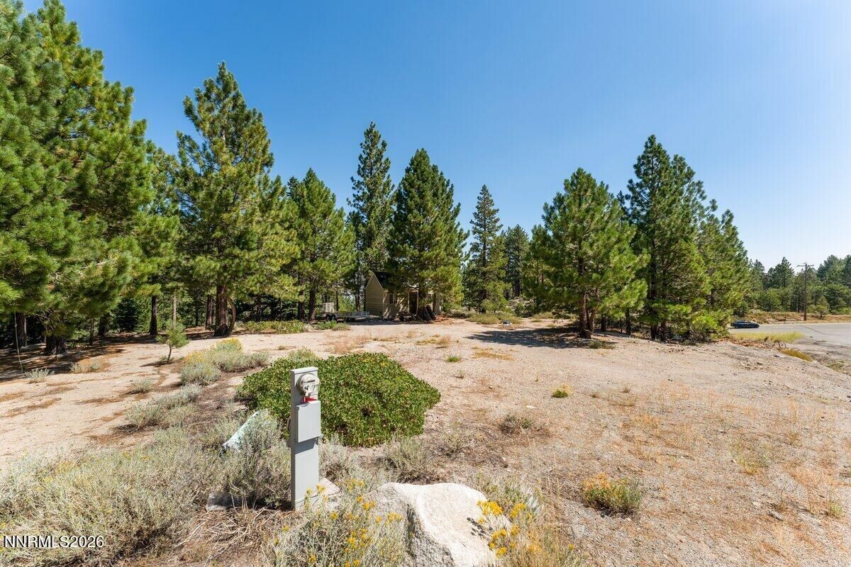 Property Photo:  1025 Sky Tavern Road  NV 89511 