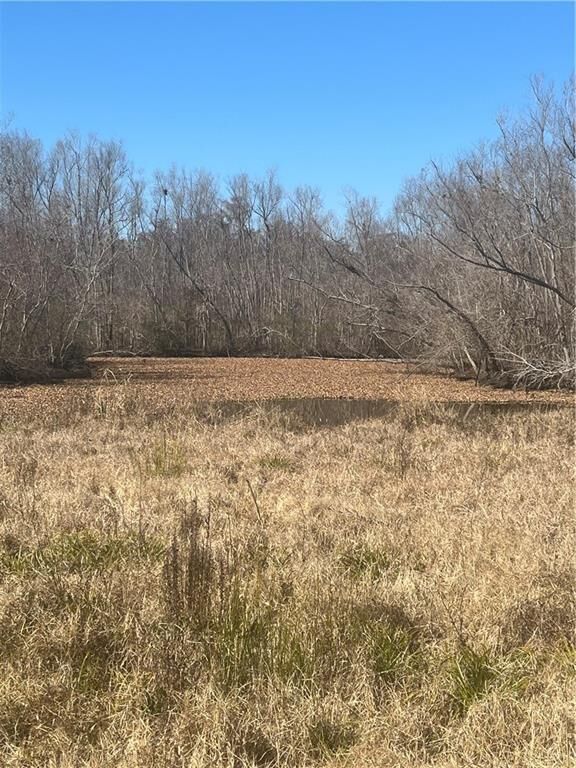 Property Photo: 161 Tahiti Trail LA 70090