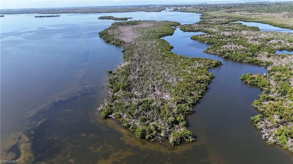 Property Photo:  Indian Field Key + Island 1  FL 33922 