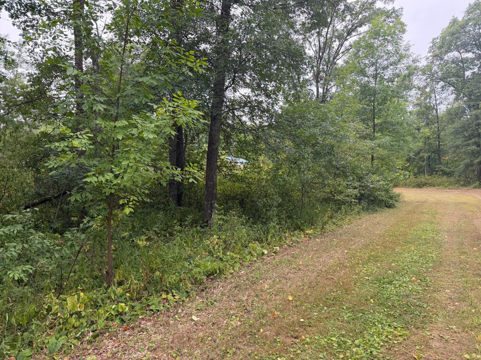 Property Photo: Lot 1 Whitetail MN 56441