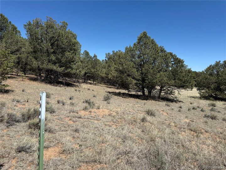 Property Photo: 520 W View Road CO 81223
