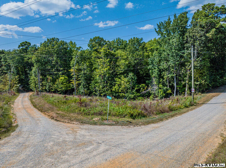 Property Photo: Lot 8 Harrells Cv NC 27870