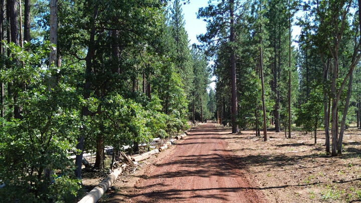 Property Photo:  0000 Old School Road  CA 96028 