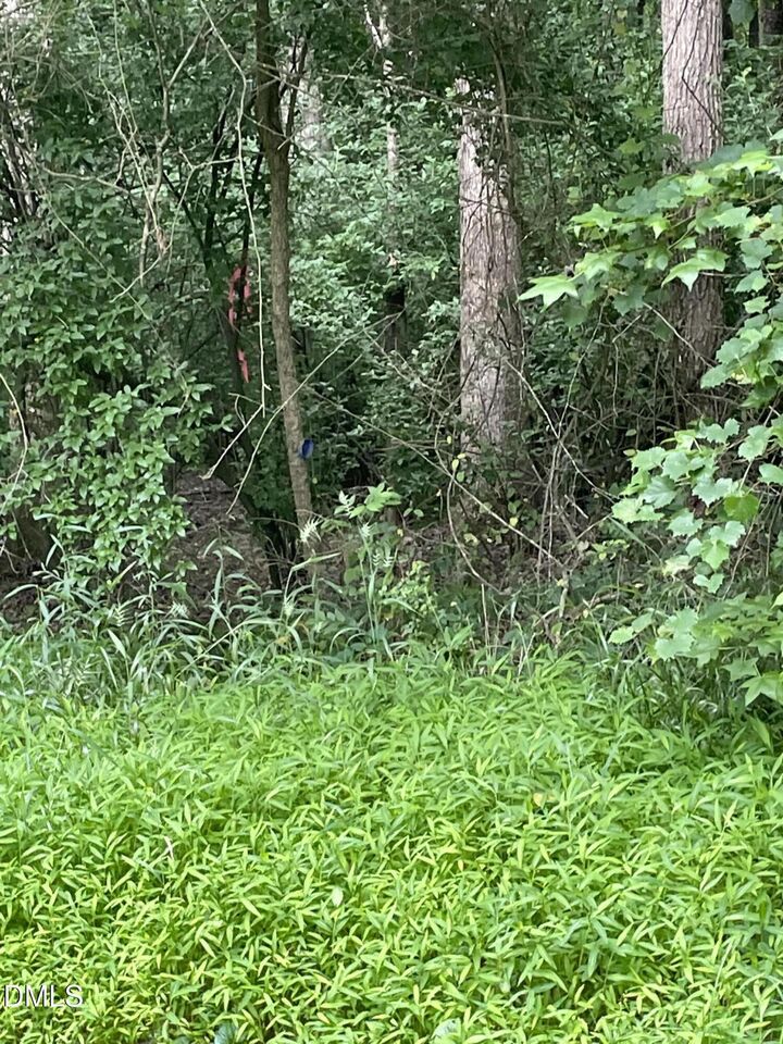 Property Photo: 00 Pleasant Hill Church Road NC 27344