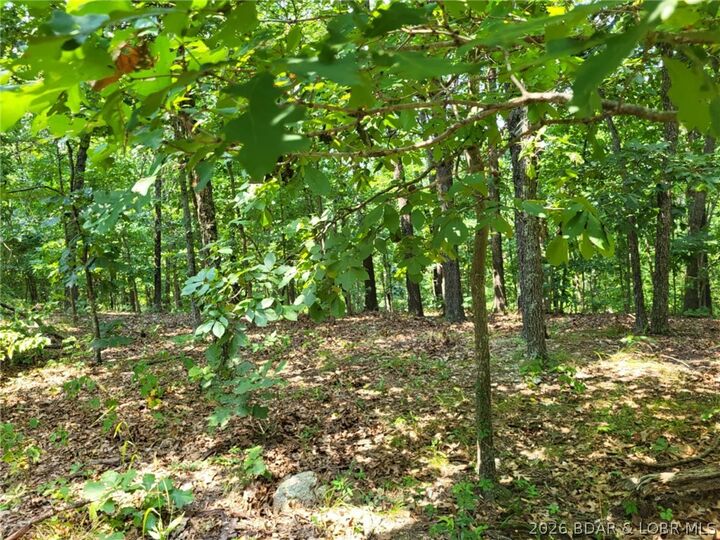 Property Photo:  Lee Drive 2020  MO 65326 