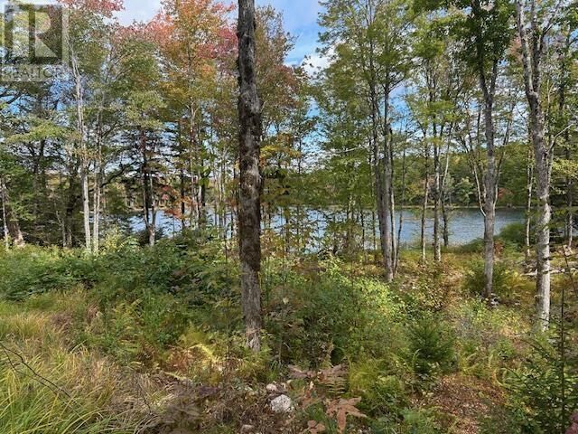 Property Photo:  Lot 3 Lakeshore Drive  NS B0J 2M0 