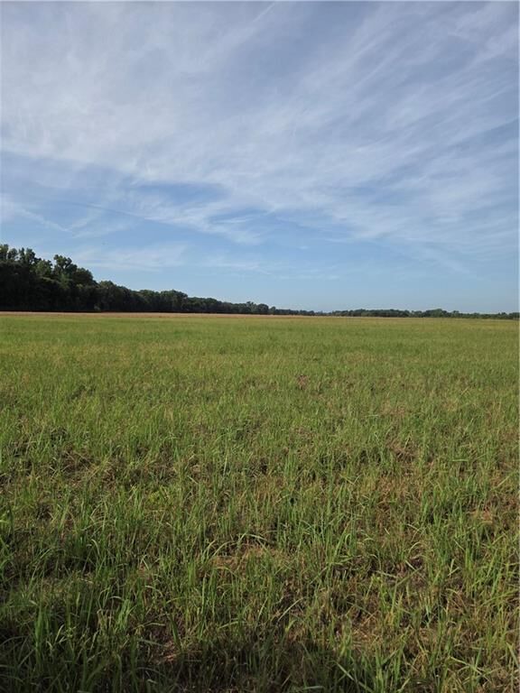 Property Photo: Tbd Highway 494 Highway LA 71456
